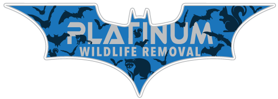 Excel Animal Removal LLC